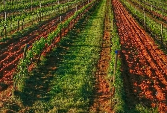 Quinta da Biaia 